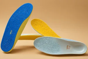 what is shoe insole